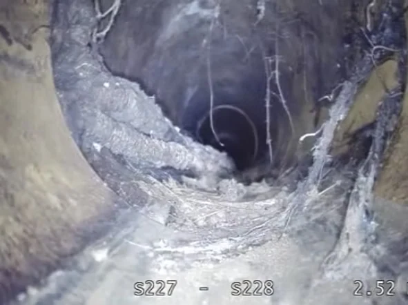 Trenchless Drain Repair at Exeter University — Flux Sewer