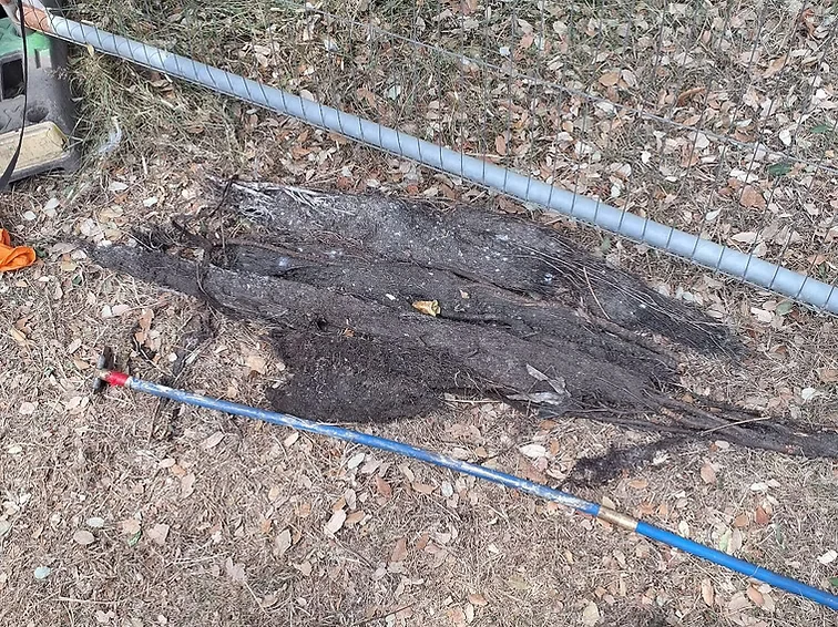 Trenchless Drain Repair at Exeter University — Flux Sewer