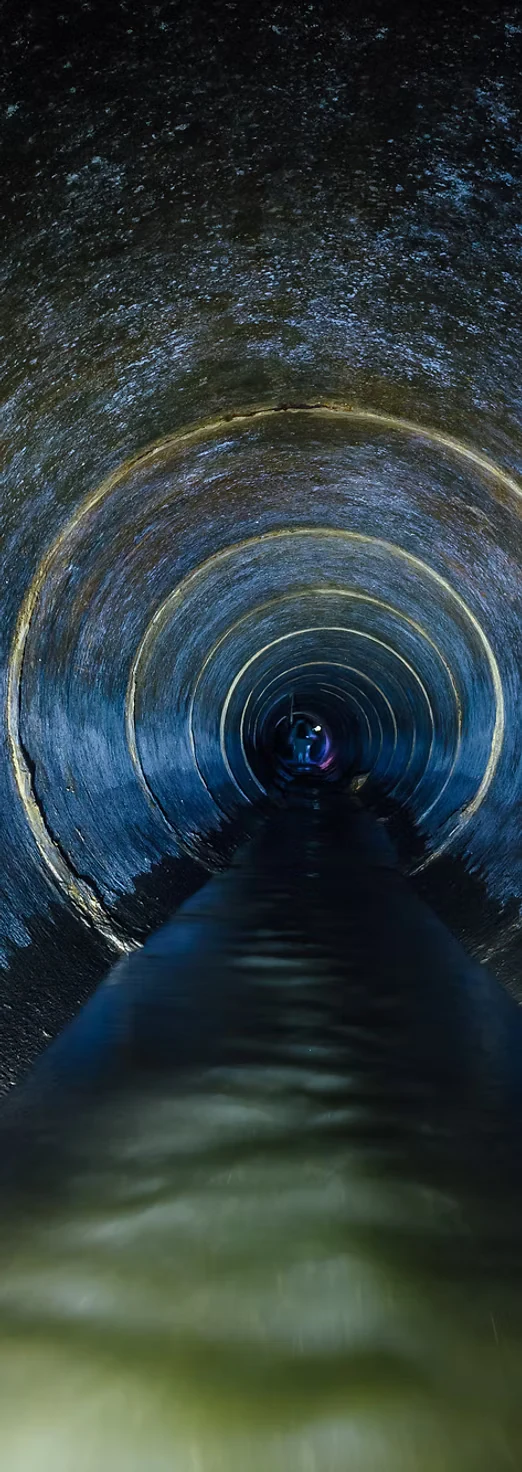 Rodent Problem Solved in Newton Abbot — Flux Sewer case study