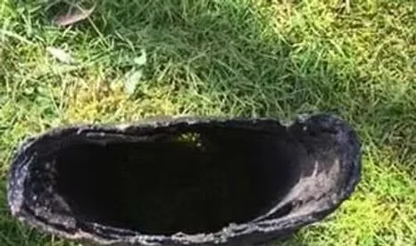 Interior view of pitch-fibre drain pipe during inspection